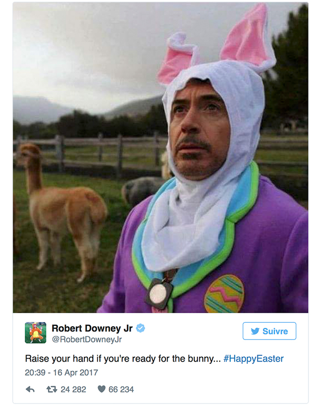 Robert Downey JR