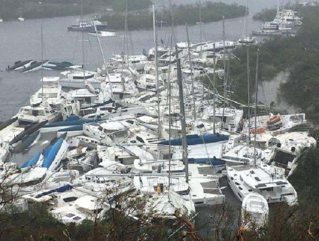 Irma 