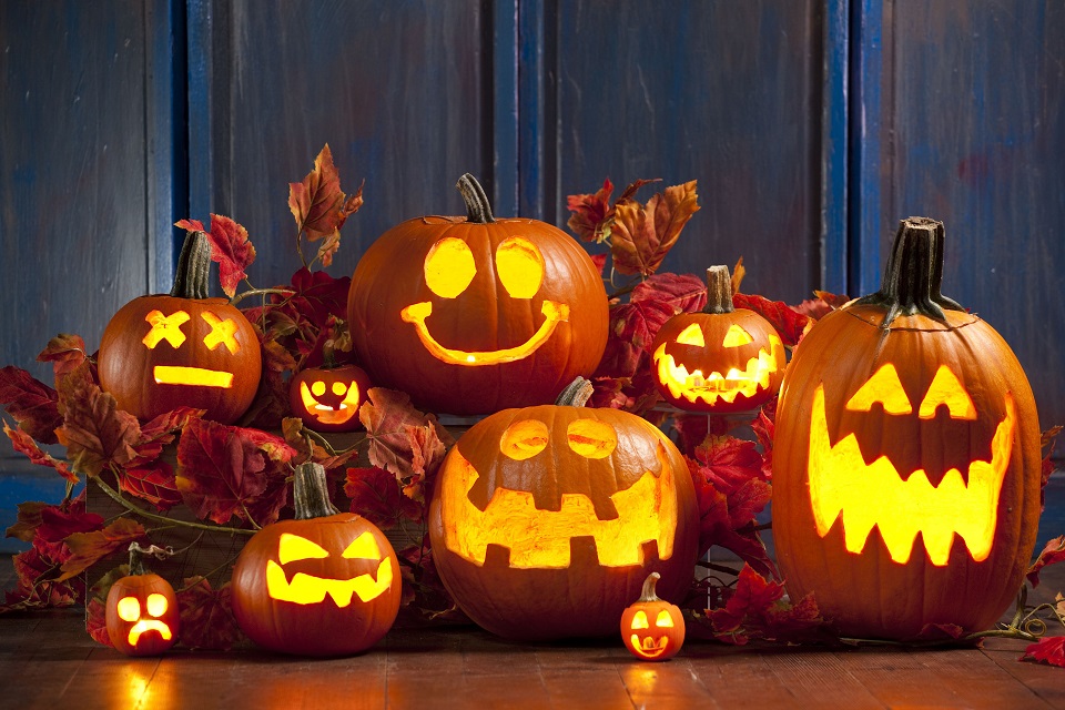 halloween-jack-o lantern pumpkins